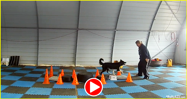 click for video of Rally Intermediate Class