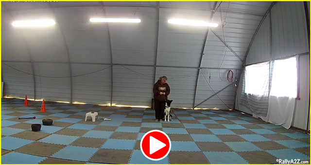 click for video of Rally Intermediate Class