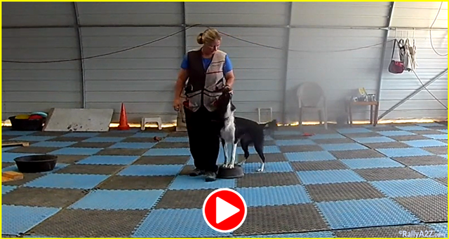 free Rally A2Z training video - Stormy pivot